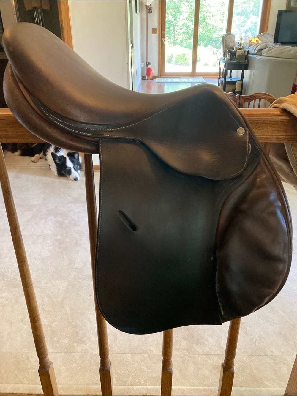 Butet Saddle - Picture 3 of 14